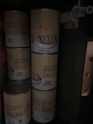 不要再问好不好#流浪猫救助