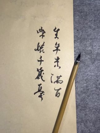 “生年未满百,常怀千岁忧。” #随写 #书法是一种生活 #写字✍️ #书法