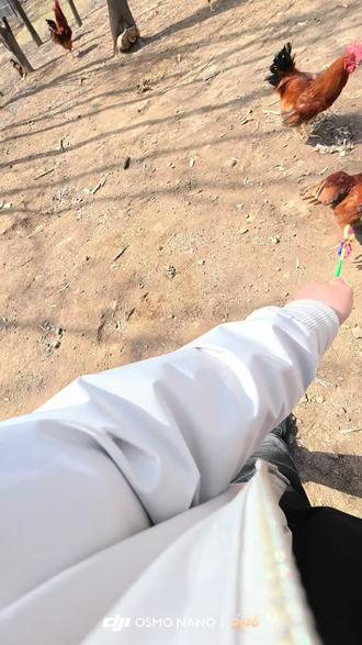 菜夹馍大赛一等奖现金500元。二等奖和三等奖跑山鸡🐔各一个,欢迎大家线上报名参与#菜夹馍大赛 #日韩干