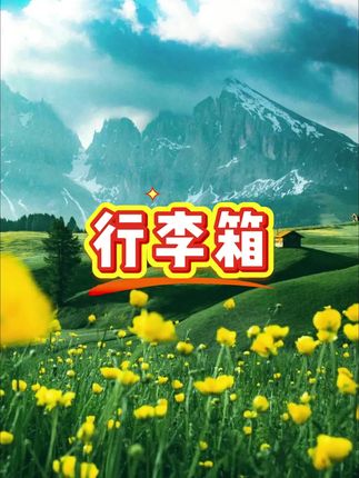 #行李箱 #拉杆箱 #旅行箱