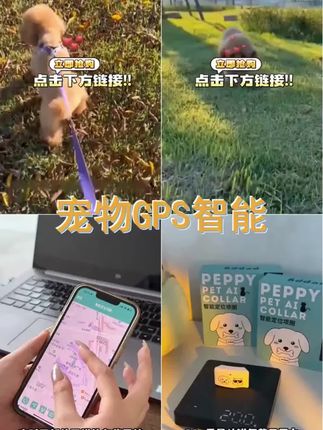#萌宠出道计划 #养宠必备 #萌宠好物 #宠物防丢牌 #毛孩子的日常