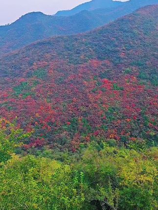 一副大自然的油墨画,在这多彩的季节,品尝㇏特色美食