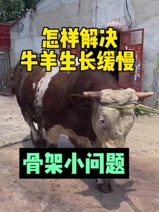 #怎样解决牛羊生长缓慢国家小等问题#誉科膘王和活菌肽纯中药提取绿色又健康