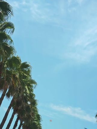 拉布布换装贴纸 这个能“打扮”的小本册子也太好玩了吧!,翻开就是粉嘟嘟的小娃娃,配着一大沓带光的贴纸——,小裙子、小背包,也能让孩子安安静静忙半天#换装豆豆本#益智玩具#换装贴纸