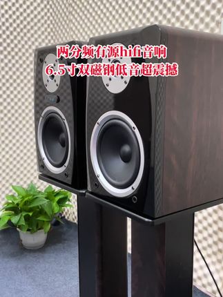 爆款音响返场#音响发烧友 #音响推荐 #有源音箱 #hifi发烧音响 #书架音箱 @抖音创作小助手 @DOU+小助手