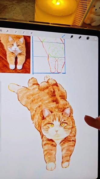 画一只橘猫猫#可爱猫猫 #插画分享 #平板画画 #画画分享 #萌宠