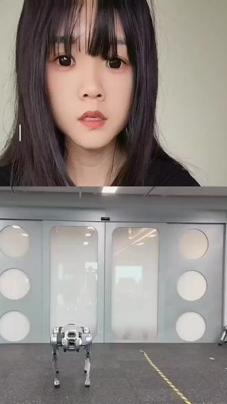 机器狗巡检时频繁断联怎么办?#机器狗自组网 #机器狗巡检 #机器狗二次开发 #科技改变未来