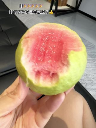 不多说了! 好吃的牛奶芭乐 就在这里了! #水果水果 #牛奶芭乐 #芭乐