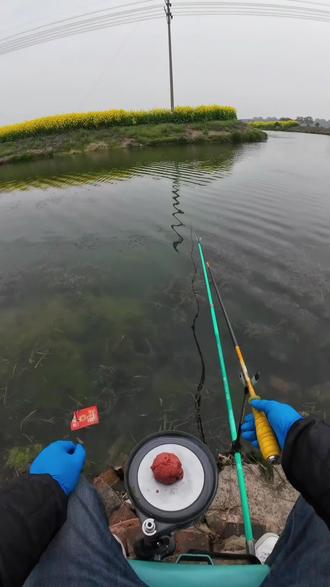 视频左下角或抖音搜“#钓点王 小程序”输口令 584837 查钓点#嘉兴慢生活 #钓鱼 #野钓 #钓鱼人