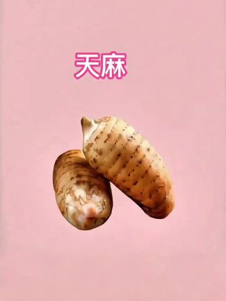 新鲜天麻煲汤炖肉汤鲜味美,好喝又营养#营养丰富 #滋补养生 #优质农产品 #天麻