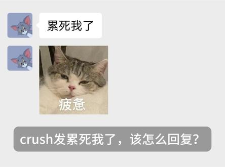 crush发累死我了,该怎么回复?#聊天梗分享 #crush #聊天截图语录