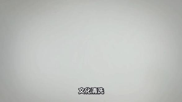 漂亮国,文化清洗,举一反三。当年野猪也是这种路子!