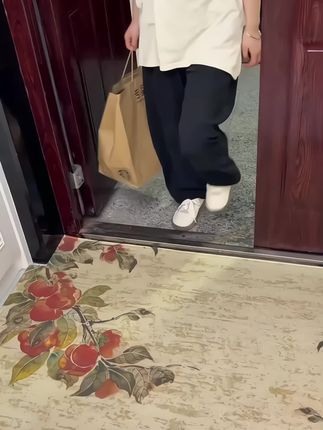 忘忧虫入户门垫高级感家用玄关脚垫耐脏防滑免洗可擦进门地毯门垫#家居好物 #小房间的设计和布置 #地毯地垫 #防水 #防滑耐磨