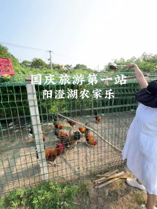 国庆想好带谁一起来吃农家乐了吗! #一口苏州知秋味、#赏味苏州、#宝藏苏州、#古韵江南
