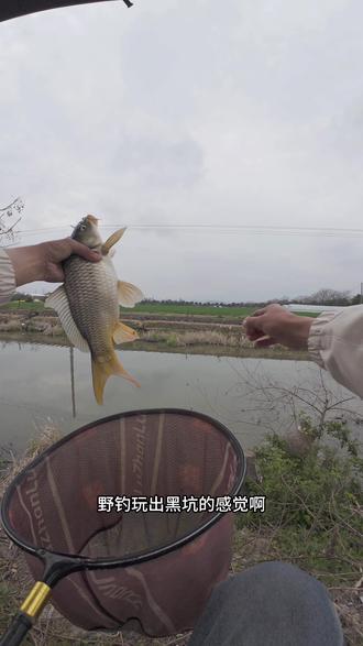 #钓鱼 #钓大鱼 #泡沫逗钓 这次够清楚了吧,又有讲解又有水下视频,一次让你看个明白!