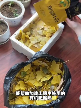 EM堆肥菌营养土菌种发酵菌糠堆肥菌厨余堆肥桶垃圾分类沤肥箱用菌#em堆肥菌 #堆肥菌种 #营养土菌种 #发酵菌 #堆肥菌