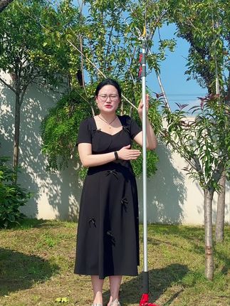 不管是花园修剪还是果实采摘,这款高空摘果剪都能帮你解决,最高可达5米#花园修剪 #果实采摘 #摘果剪 #实用工具 #园艺