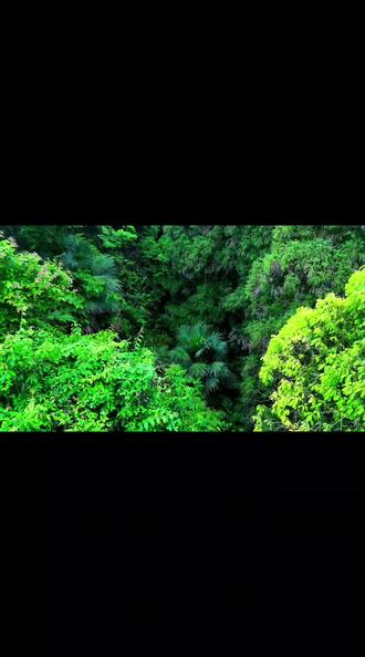 终日看山不厌山,买山终待老山间。山花落尽山长在,山水空流山自闲。——宋·王安石《游钟山》#五一超会玩计划 #