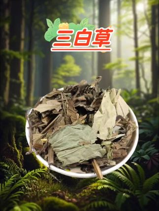 三白草 #三白草 #纯天然#无添加#精品干货#大自然的馈赠