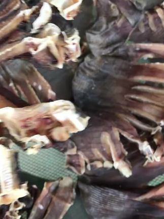 魔鬼鱼.蒸起来配八加一很落事#魔鬼鱼#舌尖美味 #快来一起尝个鲜