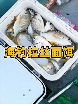 海钓拉丝面饵专攻黑鲷鱼黄脚黄翅石斑鱼泥猛鱼金鼓鱼海鱼海钓饵料海钓面饵钓海鱼用什么饵海钓用什么饵钓腊鱼用什么饵海钓鱼饵#钓鱼 #爱生活爱钓鱼 #海钓面饵 #海钓 #鱼饵