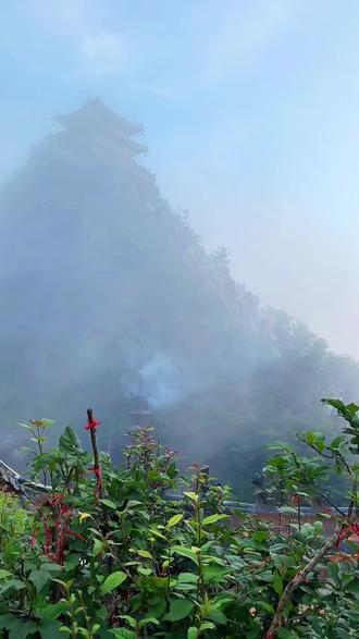 阳间世界讲利益 阴间世界讲因果 #因果#修行