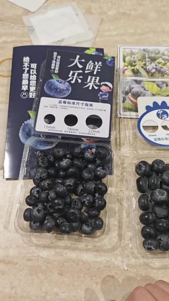 还是大乐的更香更脆一点,感觉比之前去云南路边买的都好吃,就是好难抢,能发东北的水果太少啦~#大乐鲜果 #大乐蓝莓 #王中源 #蓝莓#东北