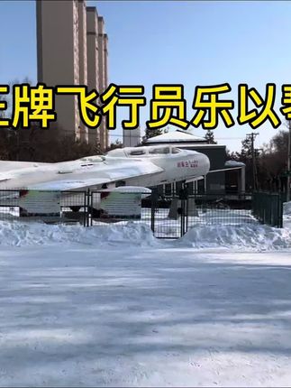 王牌飞行员乐以琴