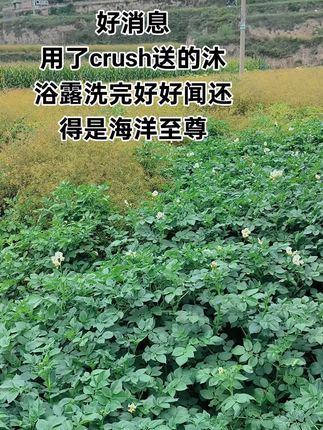 原来哥哥们都在用海洋至尊,快给男朋友或者老公准备沐浴露吧,#洗护好物 #海洋至尊#沐浴露推# 男士必备
