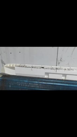 闲鱼来的顾客,安排上了! 最近接到一位从闲鱼找来的顾客,点名要空调拆机清洗服务~
说实话,闲鱼上确实有不少个人师傅在接活,但能被陌生顾客信任,还是挺开心的!
#你家空调有多久没清洗啦
#空调拆机清洗