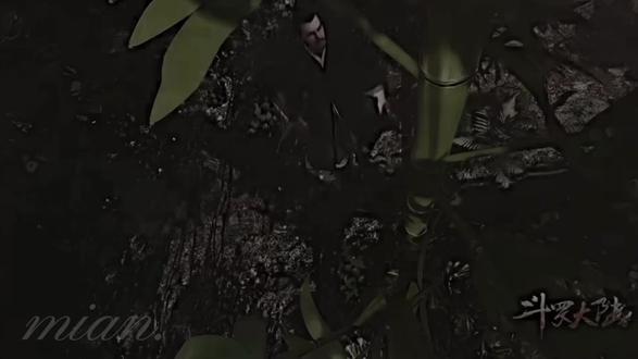 “得大师者 得天下” 原唱不知#斗罗大陆 #斗罗大陆大师