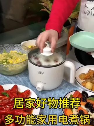 电煮锅 多功能电煮锅