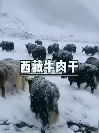 西藏高原雪域特产,牦牛肉干肉质紧实,有嚼劲越嚼越香真材实料#牦牛肉干#正真西藏牦牛肉干