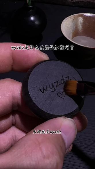 备注wyzdz是什么意思你知道吗? 我听过最温柔的一句话,大概就是wyzdz,它是世界上最让人心动,也是最深情的一句话,比520更珍贵,比1314更浪漫…#备注 #照片定制 #手工