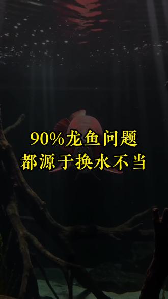 换水换不对,好龙也白费。#龙鱼 #红龙 #龙鱼老李 #水族 #观赏鱼