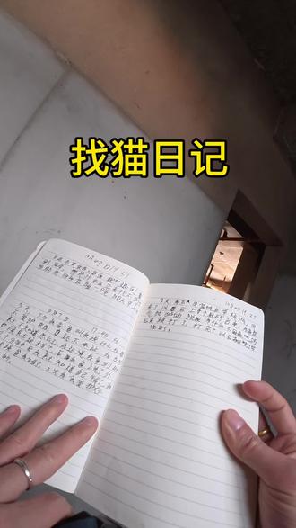 屋子里面残破不堪 我一开始没想到会是一个小朋友的秘密基地 因为这里很难进来 并且阴森森的 但愿是我多心了 希望ta开开心心的#寻猫日记 #童年回忆 #大理寻宠团队 #vlog日常 #寻猫启事