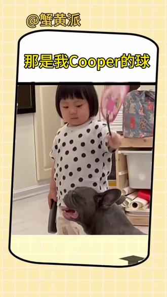 “那是我Cooper的球”
#小狗狗能有什么坏心思 #泪目