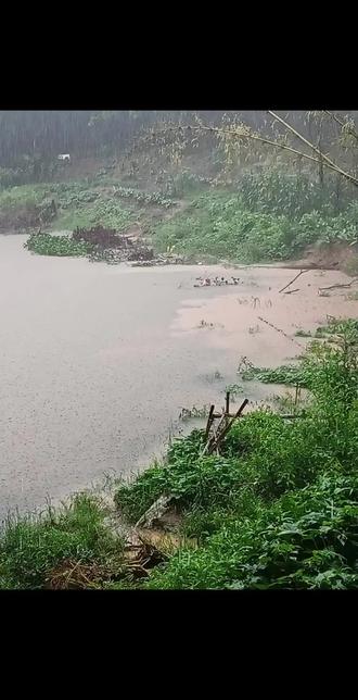 来搞大水鱼整午吃喽#暴雨后洪水来袭