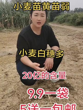三农微生物菌剂小麦种植三农农业改善土壤防板结#微生物菌剂#小麦种植#三农#农业#改善土壤