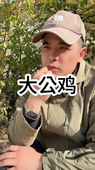 如果条件允许的话一定要养一只大公鸡#民俗文化 #传统文化 #故事 #文化传承