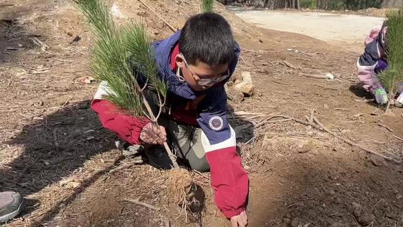 春天带娃植树,顺便搞定一个英语易错点:“放在土里”到底用 in 还是 on?#亲子英语
#英语易错点
#春天植树
#育儿英语启蒙
#生活英语