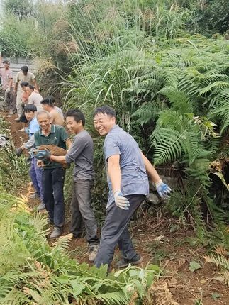 团结就是力量