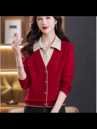 现货【90-160斤】高品质秋冬保暖毛衣女新款时尚衬衫领假两:/ 件#和朋友的秋季同频穿搭 #衣服基础穿搭不基础 #秋日韩系穿搭走起 #2025年秋季都流行穿什么