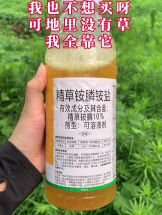 2牛筋草,小飞蓬,芦苇,水花生,香附子,鬼针草,葛根藤,果园,茶园,田梗#精草铵膦铵盐 #果园管理 #农资肥料 #无限回购的宝藏单品 #在抖音入手的好东西