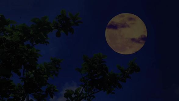 爱的桥段 叫我怎么写
#be#李清照#读诗#爱的桥段