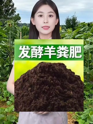 #羊粪有机肥 #羊粪#农资肥料 #在家种菜 #无限回购的宝藏单品