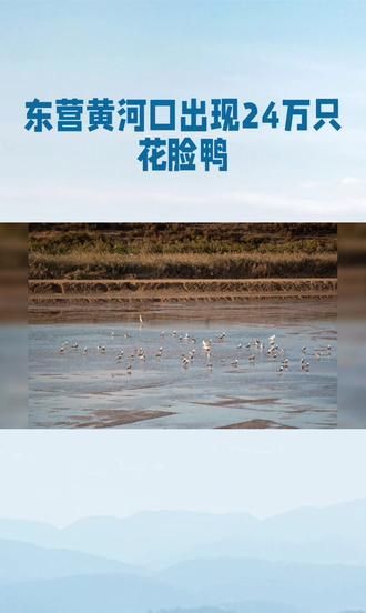 山东东营惊现“空中巨鲲”