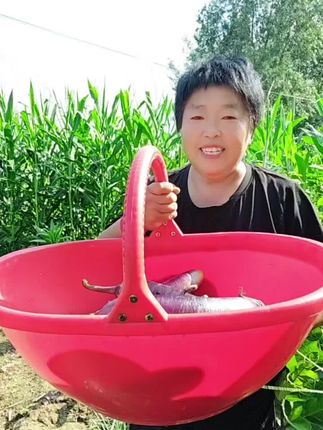生活必备品 二姐小百货,各种篮子,点击小黄车,有好物