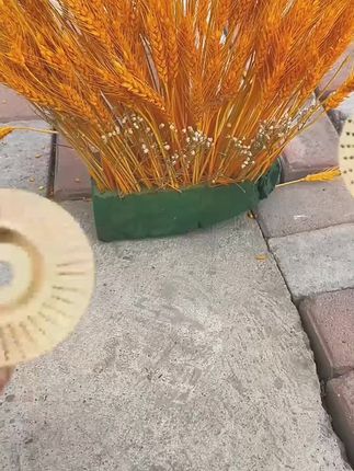 打磨刺盘 木制品抛光养护打磨塑型用着方便还安全#打磨刺盘 #木材打磨刺盘 #抛光刺盘