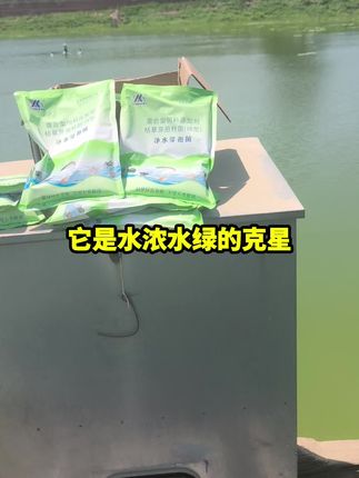 #池塘净水#鱼虾蟹养殖#水产养殖#四大家鱼养殖 #高密度养殖